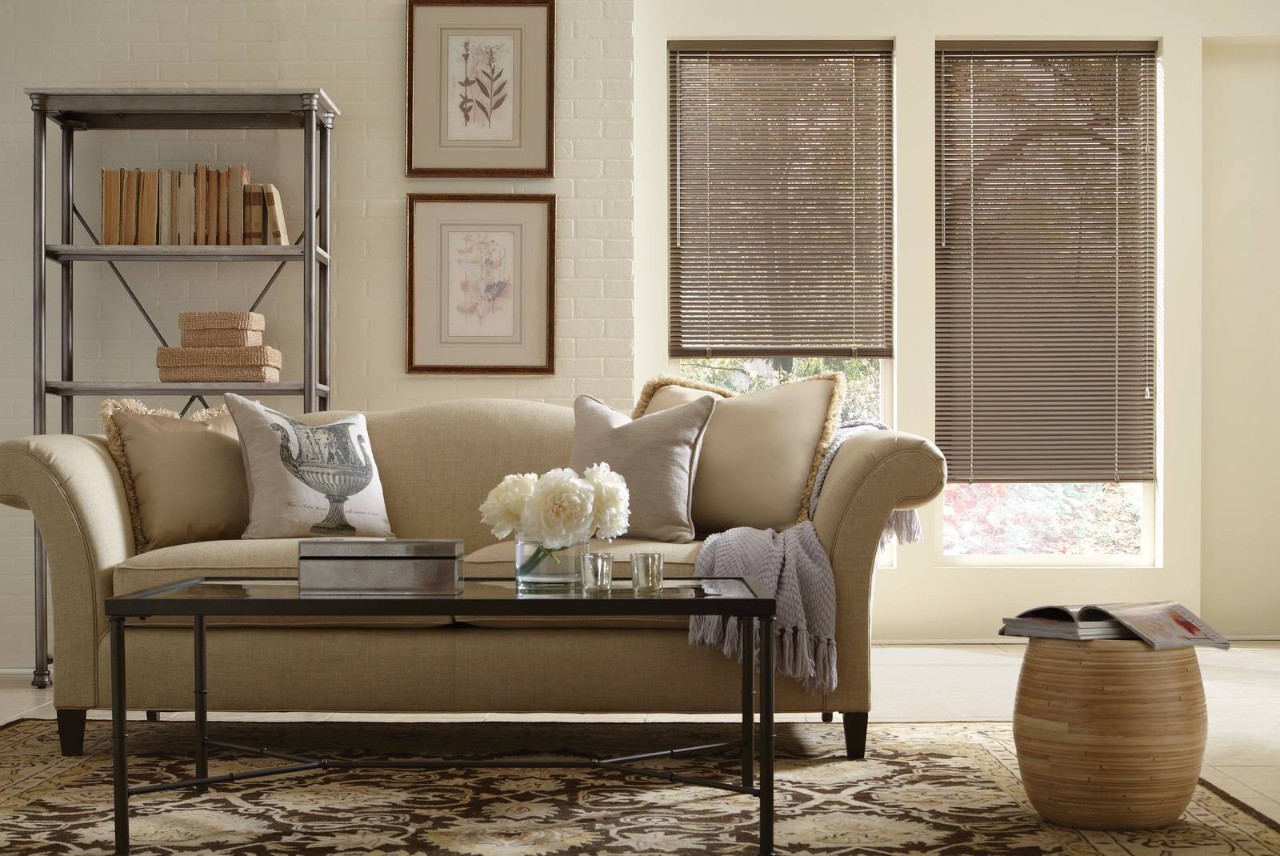  Hunter Douglas Modern Precious Metals® Mini Blinds decorating two smaller windows in a living room near Danville, CA